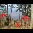 Colombia Santander 14
