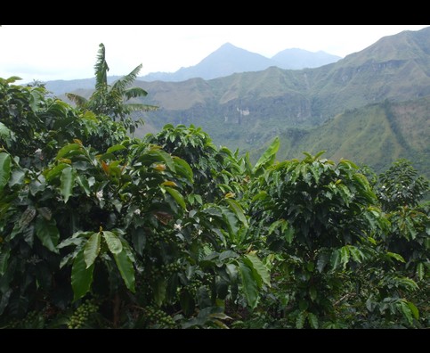 tierradentro colombia
