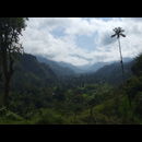 Colombia Valle Cocora 3