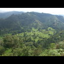Colombia Valle Cocora 5