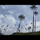 Colombia Valle Cocora 7