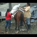 Colombia Village Life 20
