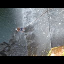 Colombia Waterfall 6