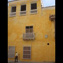 Colombia Yellow 14