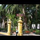 Colombia Yellow 15