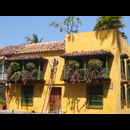 Colombia Yellow 4