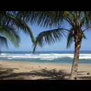 Cr Beaches 2