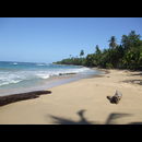 Cr Beaches 4