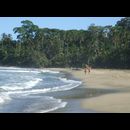 Cr Beaches 9