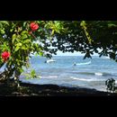 Cr Carib 5