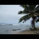 Cr Carib 6