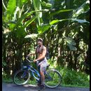 Cr Carib 8