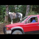 Cr Transport 3