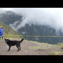 Ecuador Cable Car 14