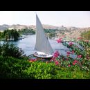 Aswan 8