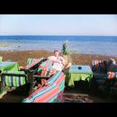 Dahab 5