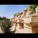 Luxor 1
