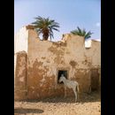Mud village 13