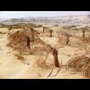 Sahara Dhakla 4