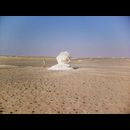 White desert 19