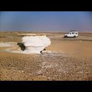 White desert 24