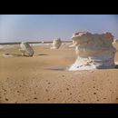 White desert 28
