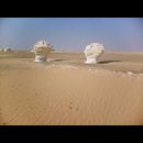 White desert 29