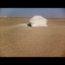 White desert 30