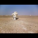 White desert 31
