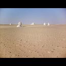 White desert 32