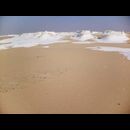 White desert 36