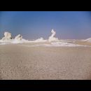 White desert 38