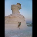White desert 4