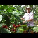 Elsv Coffee 5