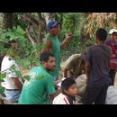 Elsv Coffee Picking 13