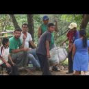 Elsv Coffee Picking 14