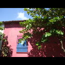 Elsv Houses 8