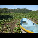 Elsv Lake Suchitoto 9