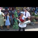 Elsv Markets 11