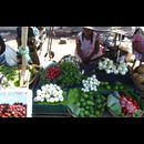 Elsv Markets 12