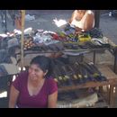 Elsv Markets 13