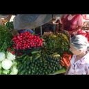 Elsv Markets 14