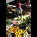 Elsv Markets 16