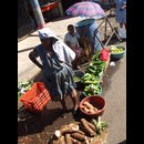Elsv Markets 17