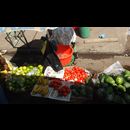Elsv Markets 18
