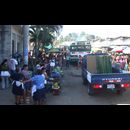 Elsv Markets 20
