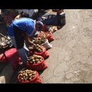 Elsv Markets 5