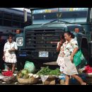 Elsv Markets 8