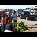 Elsv Markets 9