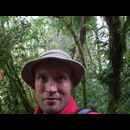 Elsv Rainforest 1